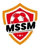 MSSM